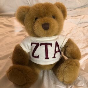 ZTA Teddy Bear 🧸